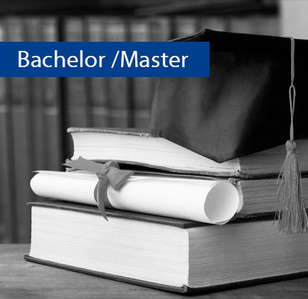 kacheln bachelor sw